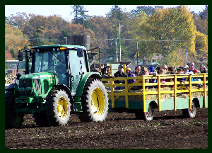 Hayrides to the Pumpkin Patch!