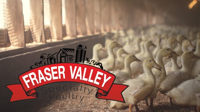 FRASER VALLEY SPECIALTY POULTRY 