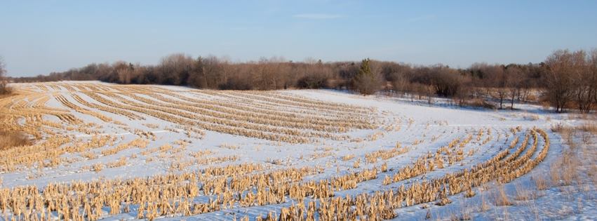 FCC is the leading provider of financing to the Canadian agriculture industry.