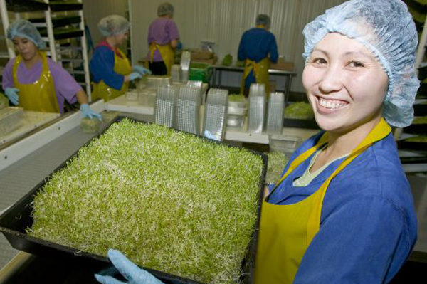 EATMORE SPROUTS AND GREENS LTD.