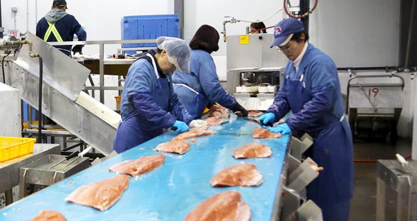 Fish, processing