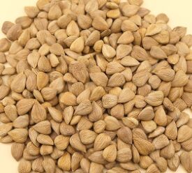 Amandes