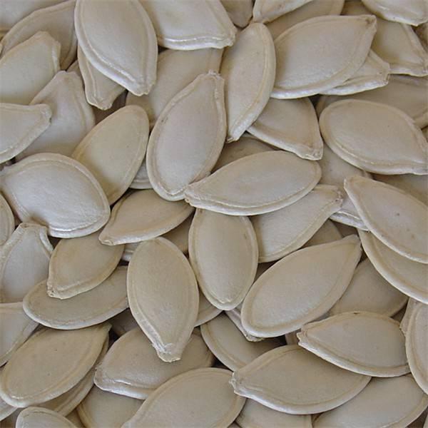 export good Pumpkin seeds