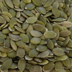 export good Pumpkin seeds kernel