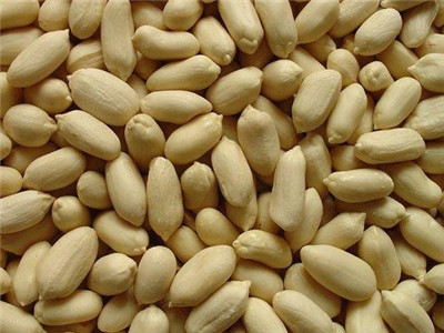 Луд