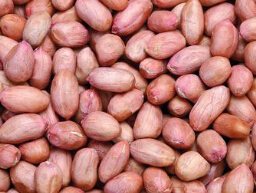 جوز