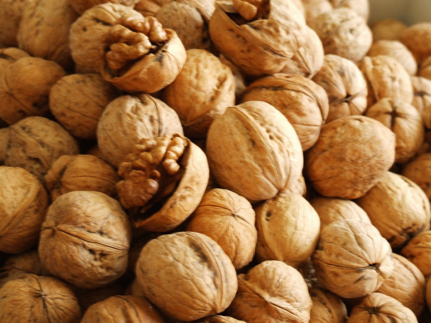 Nueces
