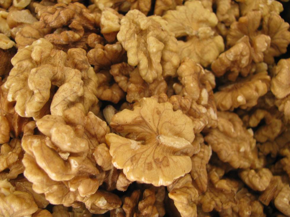 Nuci