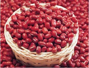 red kidney bean