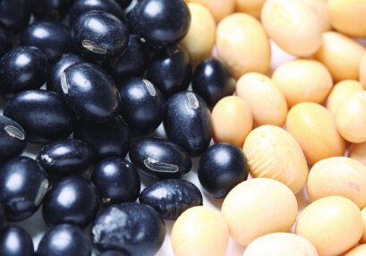 black beans with white kernels