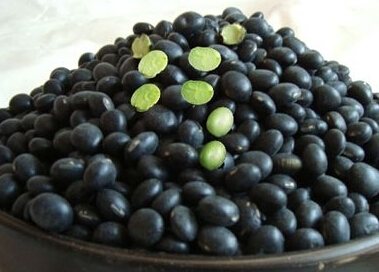 black beans with green kernels