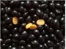 black beans with yellow kernels