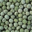 green pea dried