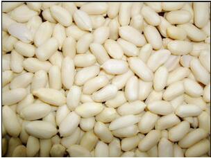 blanched peanut