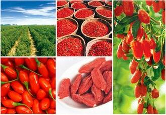 Goji berry