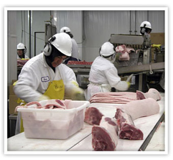 Processing and preserving of meat and production of meat products