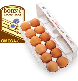 Ägg
