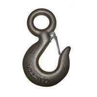 Eye Slip Hook With Latch