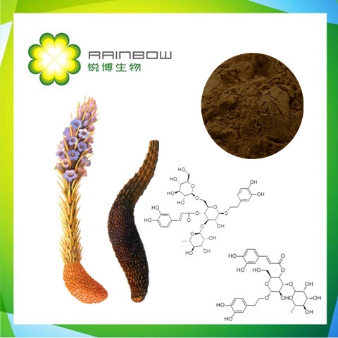 Cistanche Tubulosa Extract