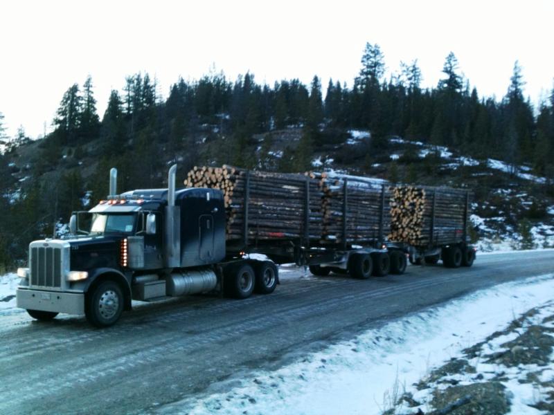 Transport of logs within the forest