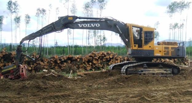 Services incidental to logging