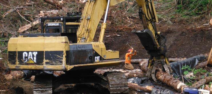 Forest management consulting-tjenester