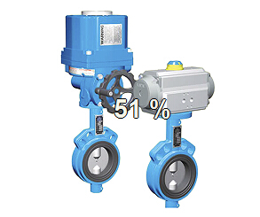 High Performance Butterfly valve