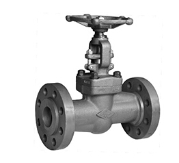 Forged Steel Globe Valve