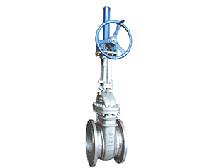 API 602 Forged Steel Gate Valve