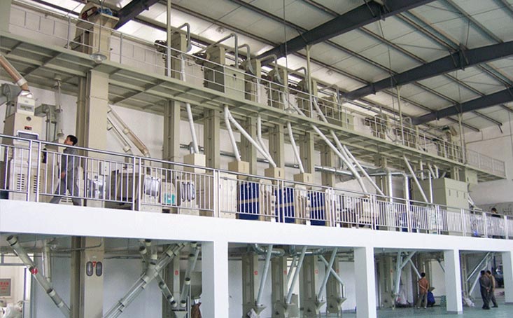 Complete Rice Milling Line