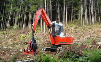 Logging ծառայություններ