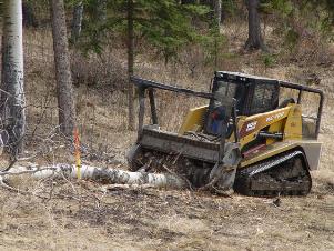 Tree-clearing services