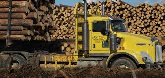 Logging services