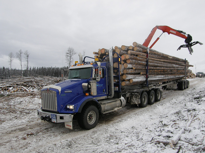 Transport dłużyc na terenie lasów