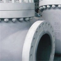 Cast Steel Check Valve