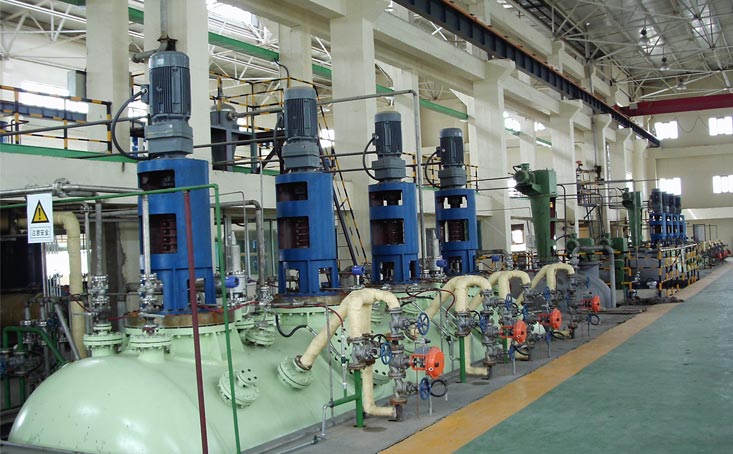 Rice Bran Oil Production Line