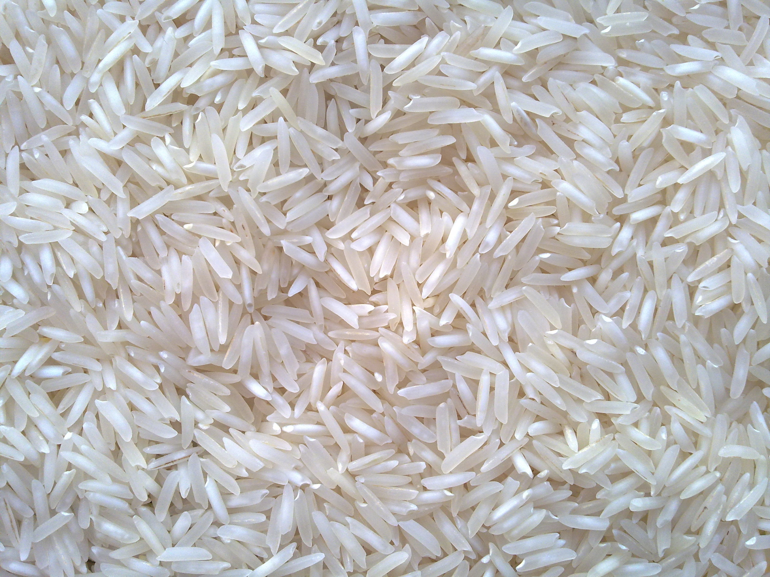 Sona Masuri Rice 