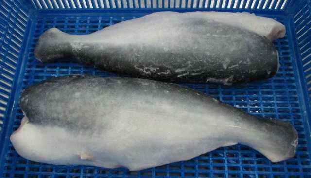 Pangasius fillets