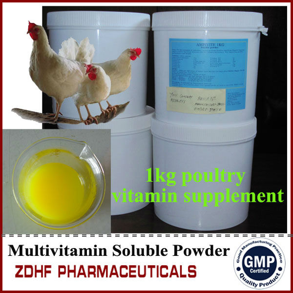 veterinary stress medicine vitamins premix for broilers gain weight 