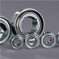 GW PPB Agricultural Bearings