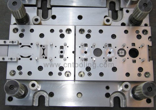 Moulds এবং নিদর্শন