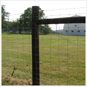 Field Fences with Square Deal Knots (S Knots Fence)