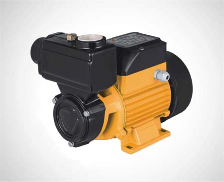 Surface pump/Vortex pump/Peripheral pump TPS60/70/80