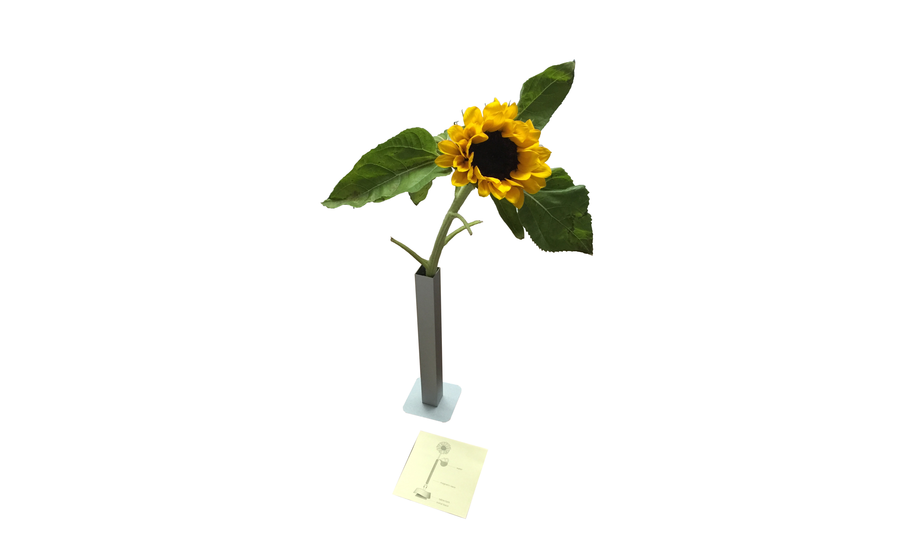 Creative Vase Ideas, Aluminum Magnet Vase, Magnetic Vase