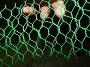 Hexagonal Wire Mesh