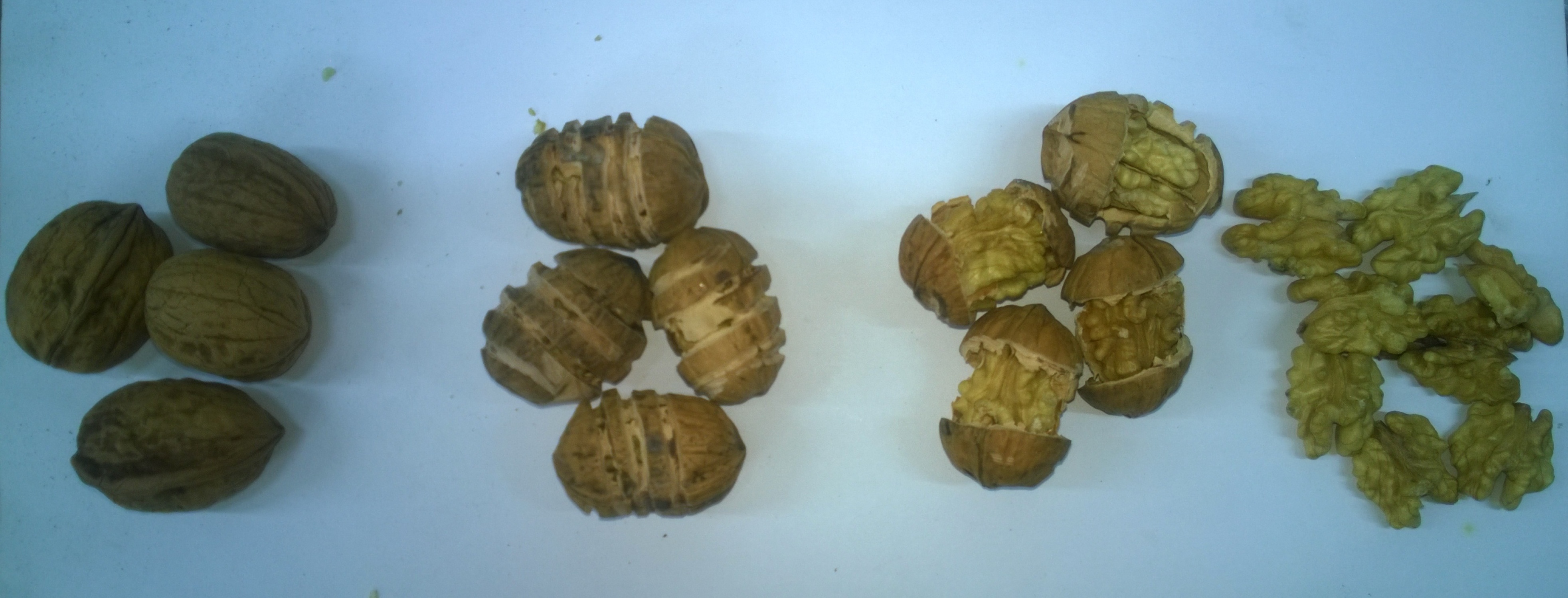 আখরোট, hulling এবং shelling