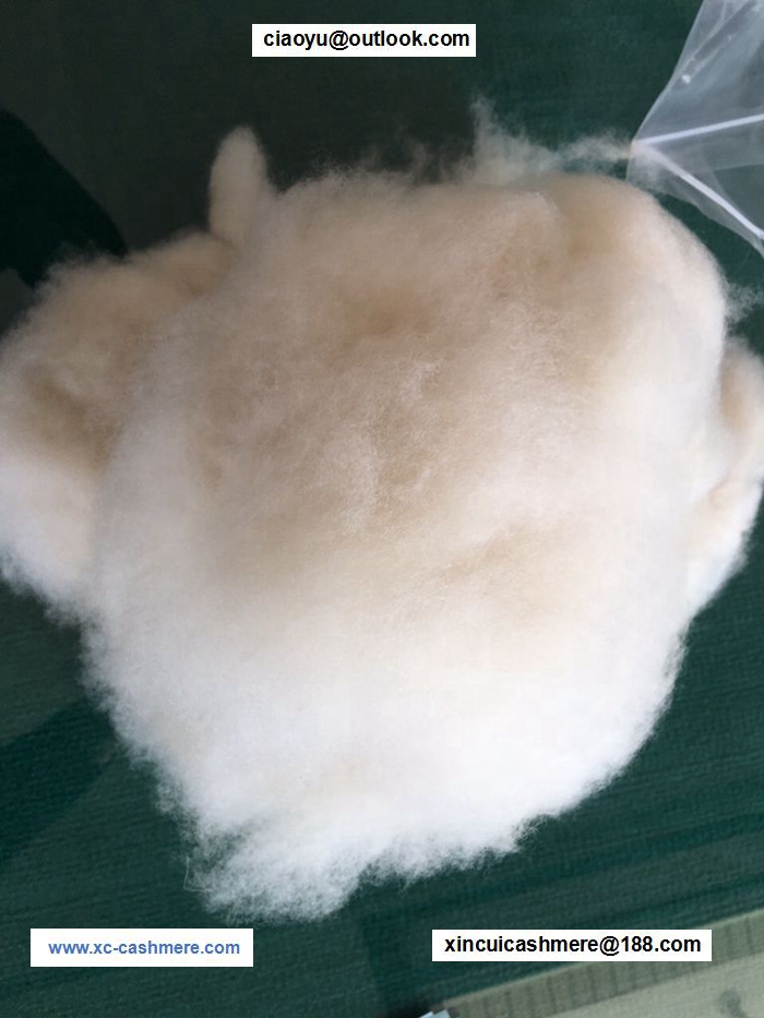 Chinese Washed and Carded Wool 