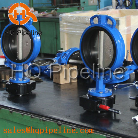 Butterfly Valve