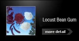 Locust Bean Gum