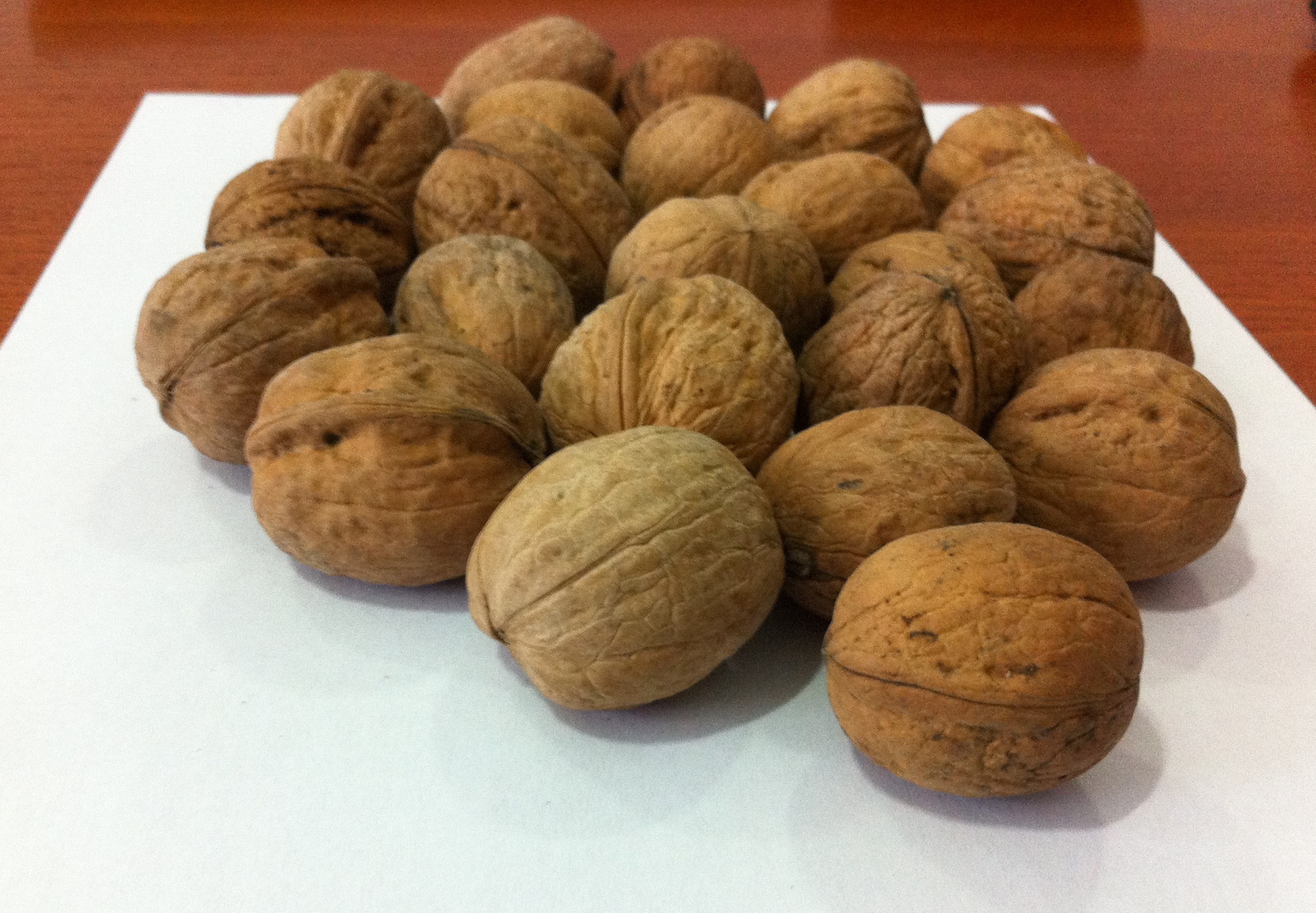 walnut (in shell, kernel)